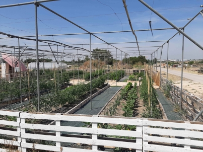 COMPORTAMIENTO AMBIENTAL HELECHOS -2024